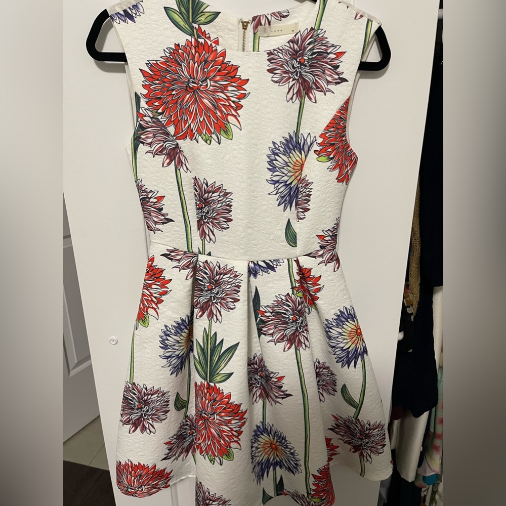 Luna Mini Fit and Flare Vintage Style Dress